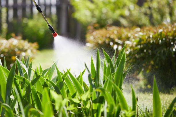 24/7 Emergency Mosquito Control experts in Salisbury, MD