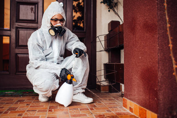 Reliable Mosquito Control contractor in Salisbury, MD by Show Me Pest Control