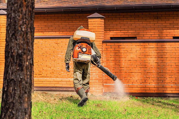 Top rated local Mosquito Control specialists in Salisbury, MD